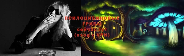 спиды Балахна